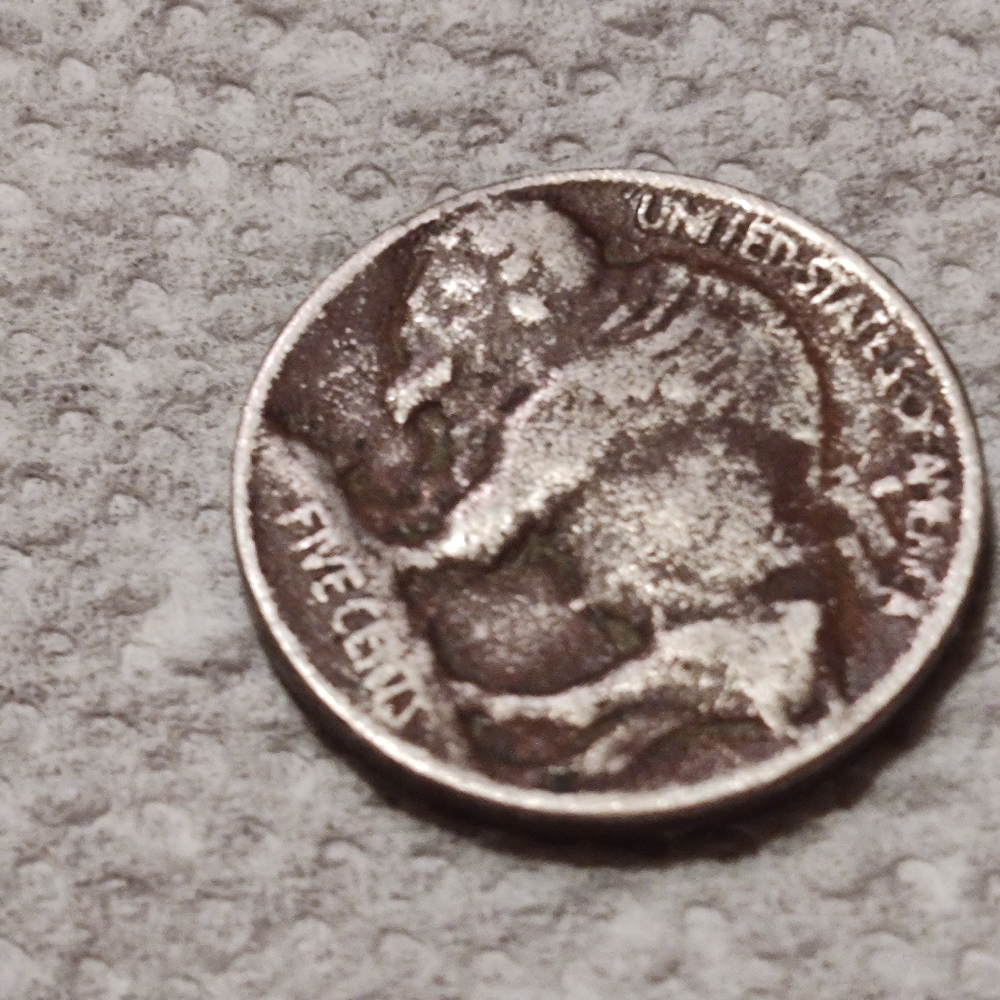 1913 type 1 buffalo raised ground buffalo